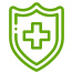 green icon of shield